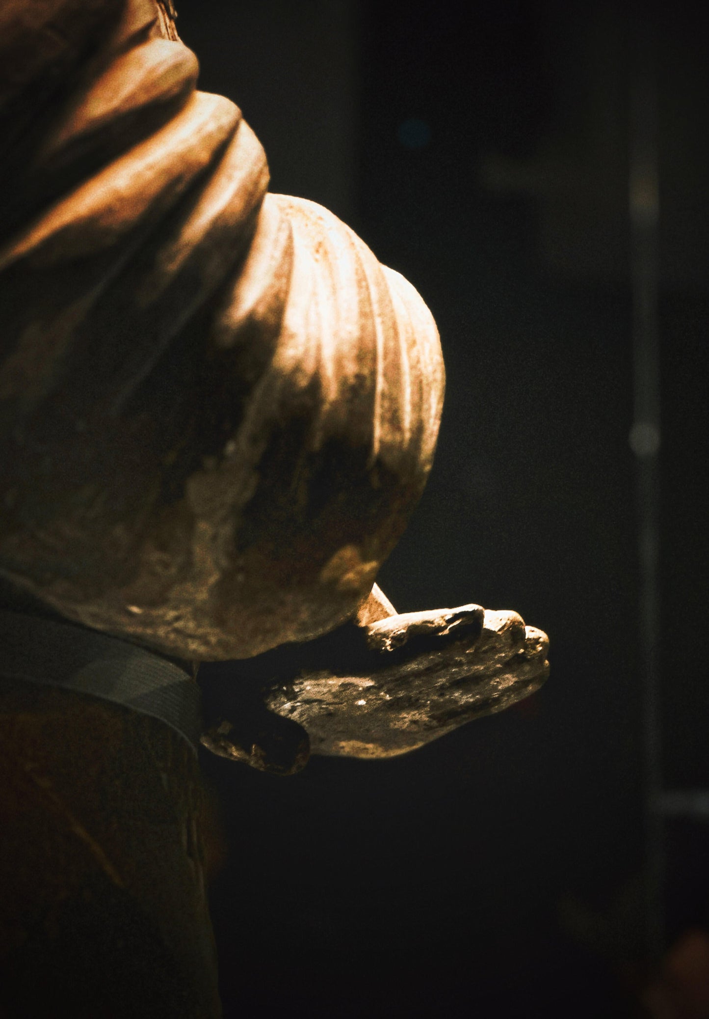 Xi'an Qin Shi Huang Mausoleum Museum (Terracotta Warriors)+Huaqing Palace 1-Day Group Tour
