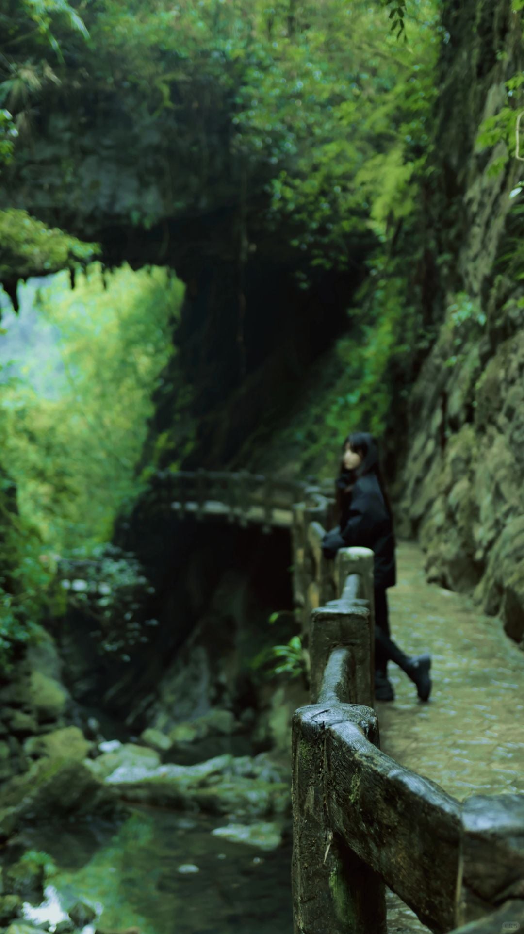 Chongqing+Wulong District 5-Day 4-Night Group Tour