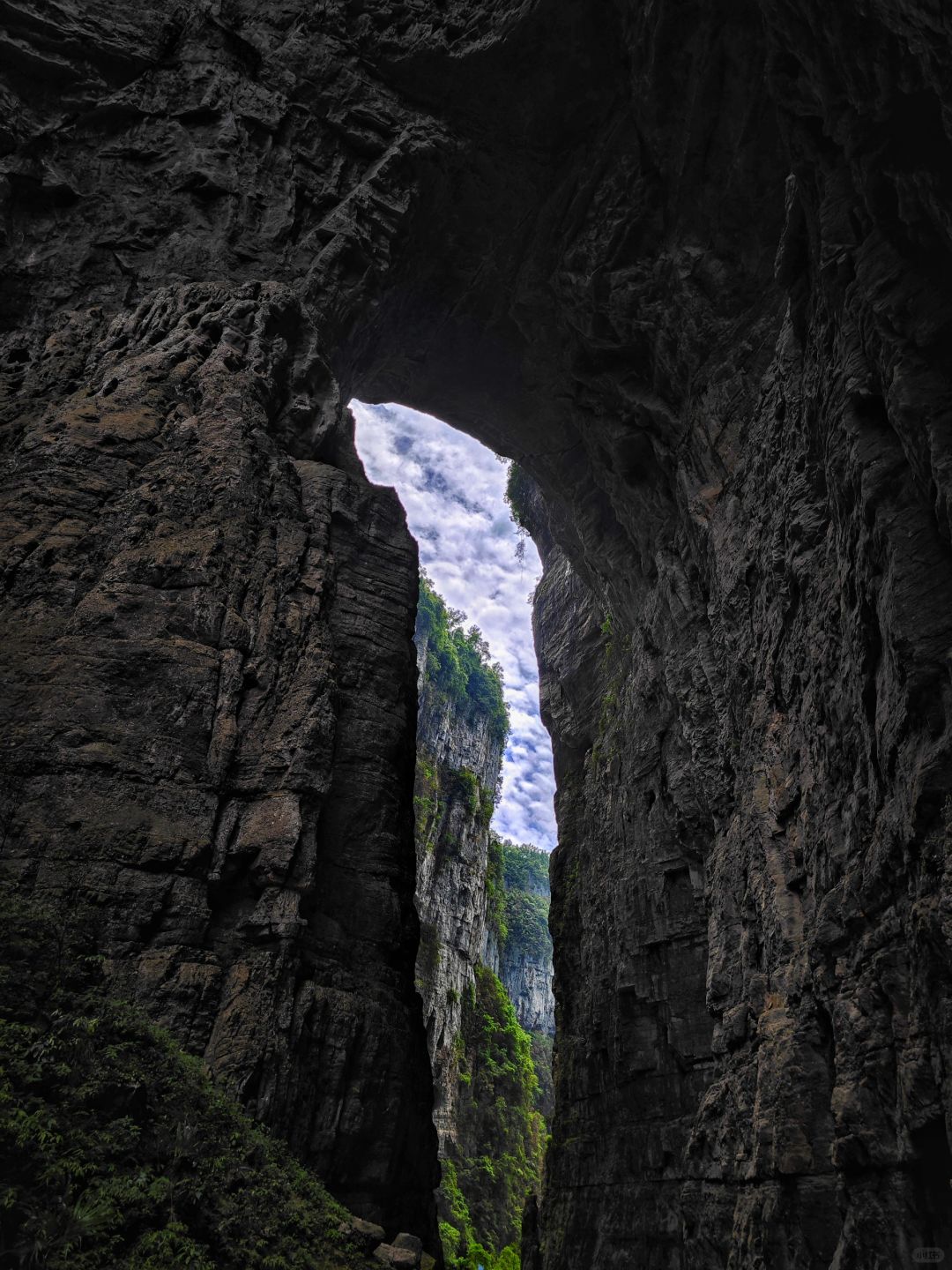 Chongqing+Wulong District 5-Day 4-Night Group Tour