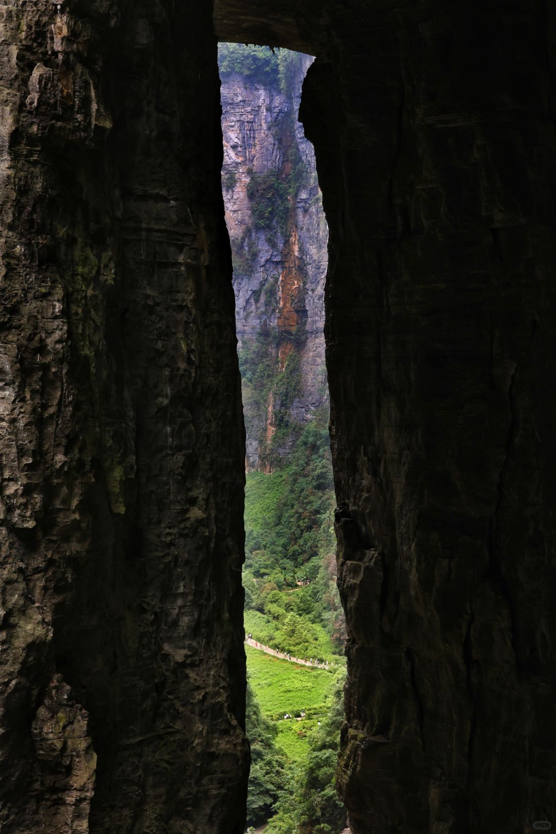 Chongqing+Wulong District 5-Day 4-Night Group Tour