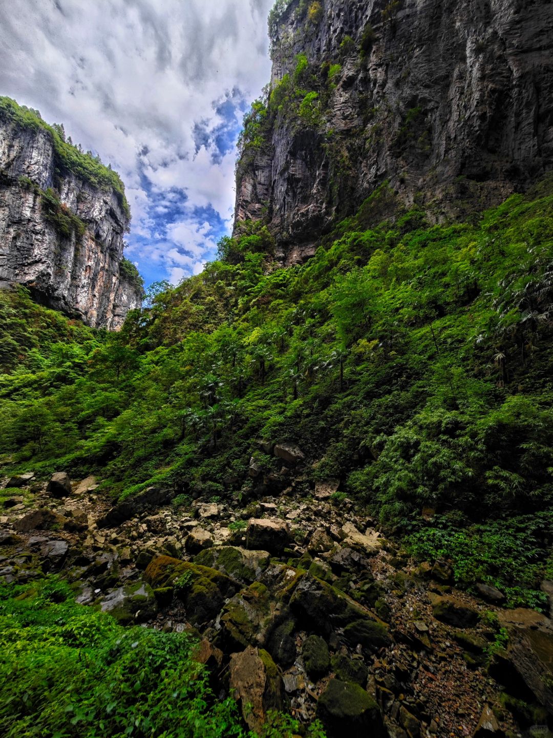 Chongqing+Wulong District 5-Day 4-Night Group Tour