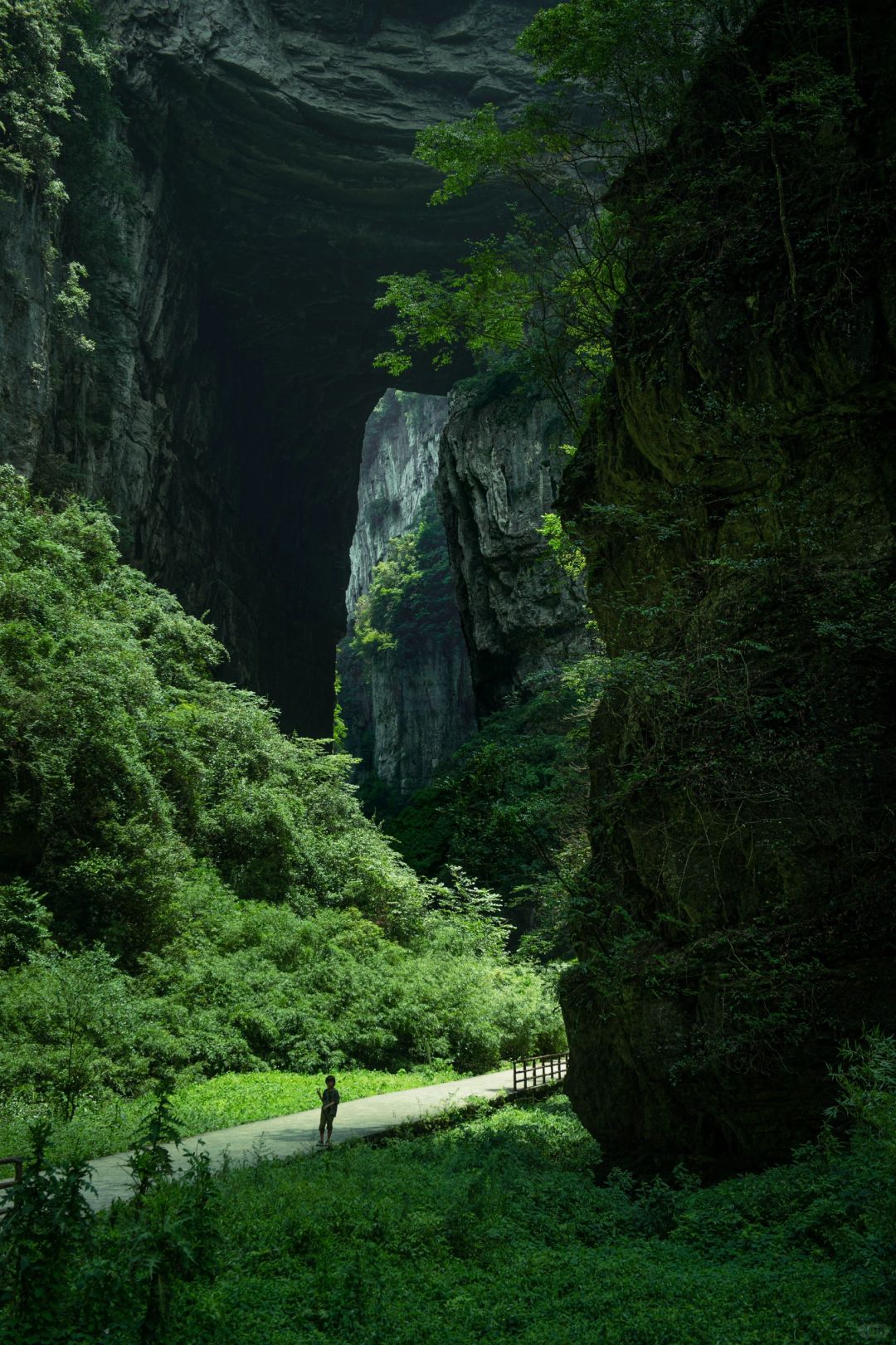Chongqing+Wulong District 5-Day 4-Night Group Tour