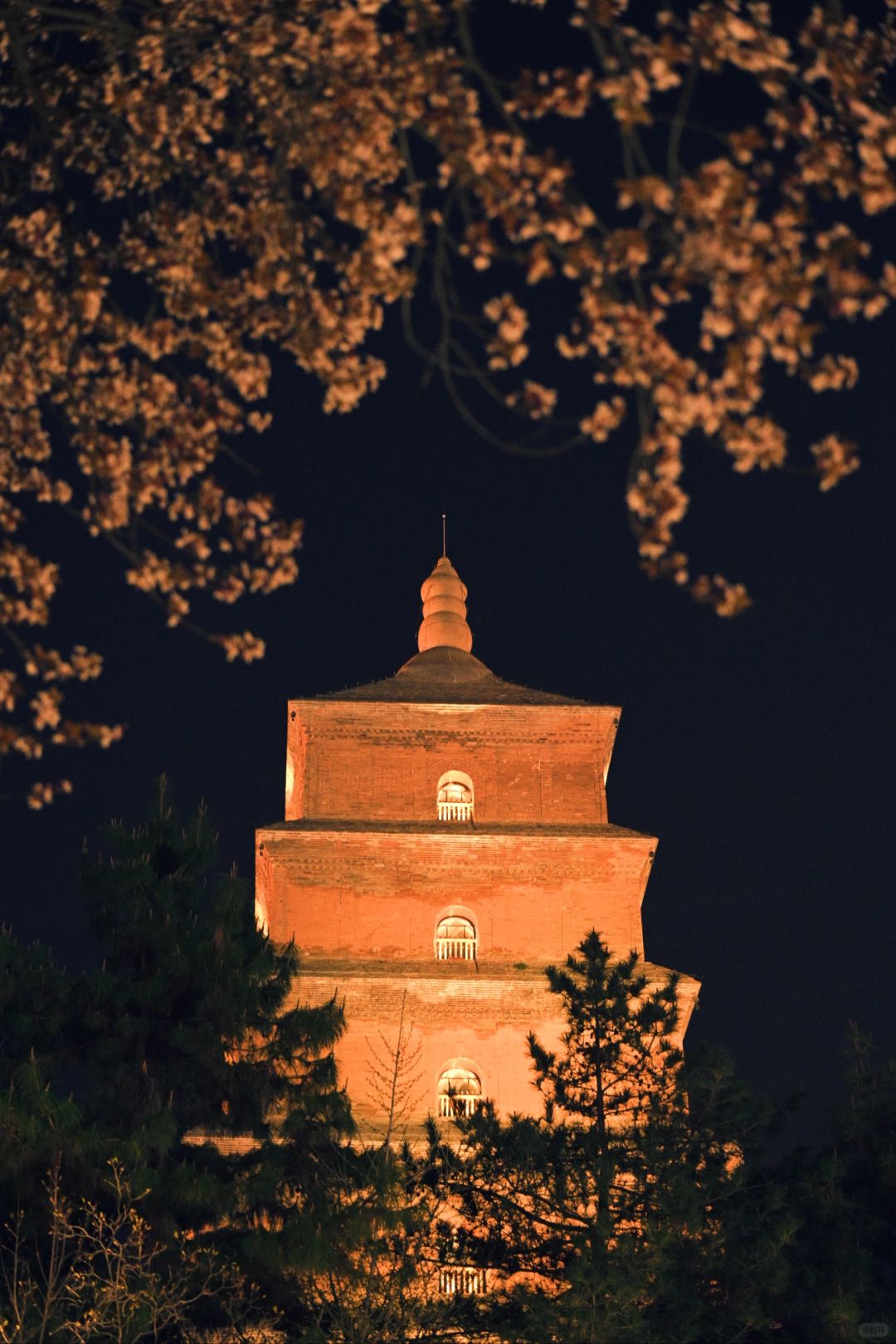 Xi'an Qin Shi Huang Mausoleum Museum (Terracotta Warriors)+Huaqing Palace 1-Day Group Tour