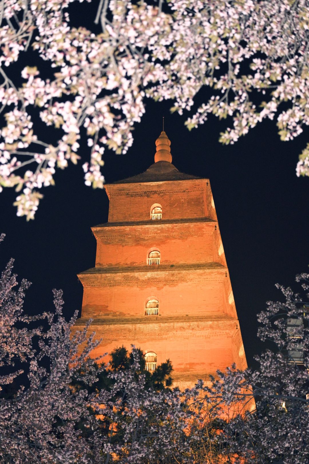 Xi'an Qin Shi Huang Mausoleum Museum (Terracotta Warriors)+Huaqing Palace 1-Day Group Tour