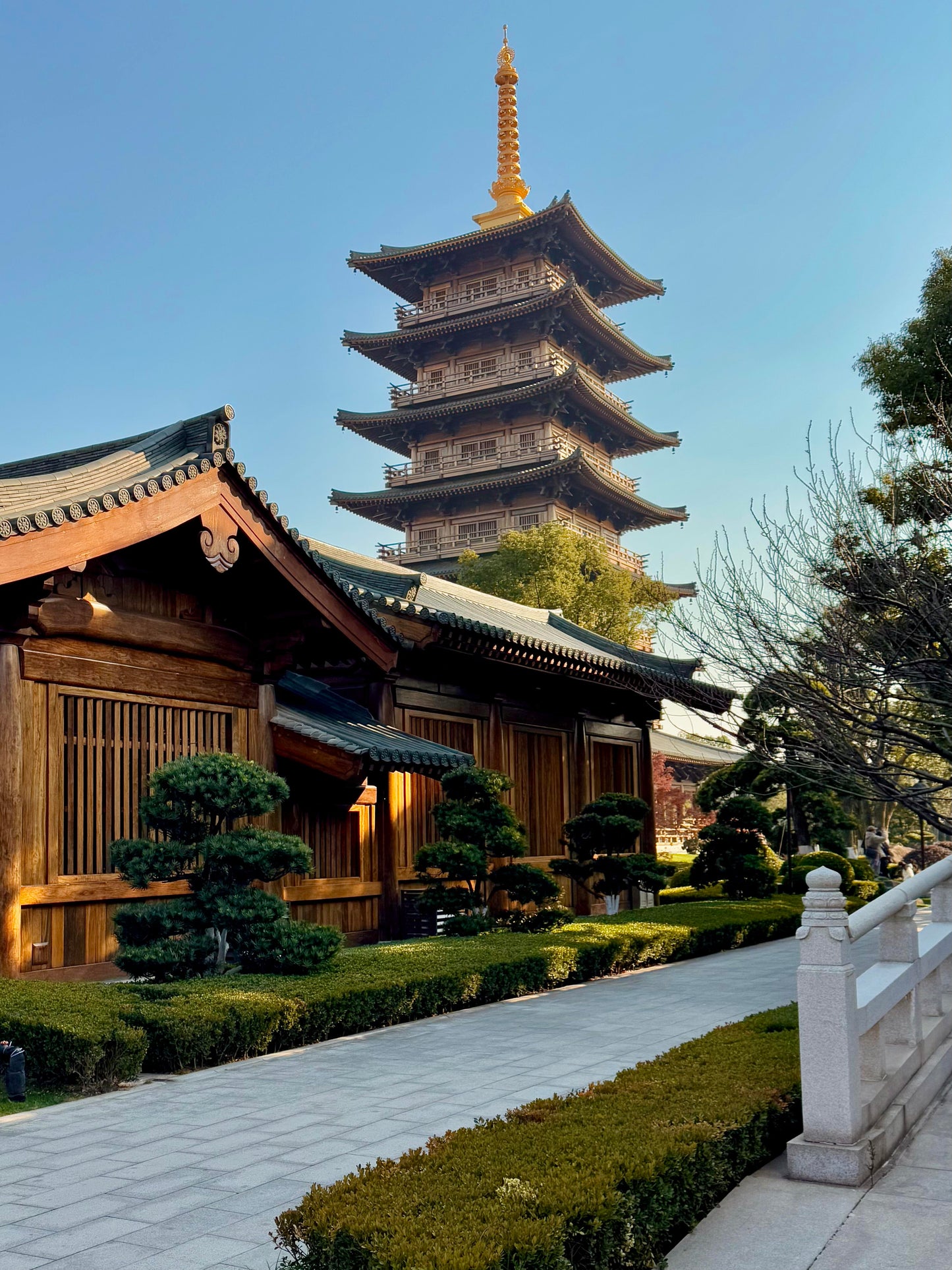 ✨Nanjing+Wuxi+Suzhou+Hangzhou+Shanghai+Wuzhen 6-Day 5-Night Group Tour