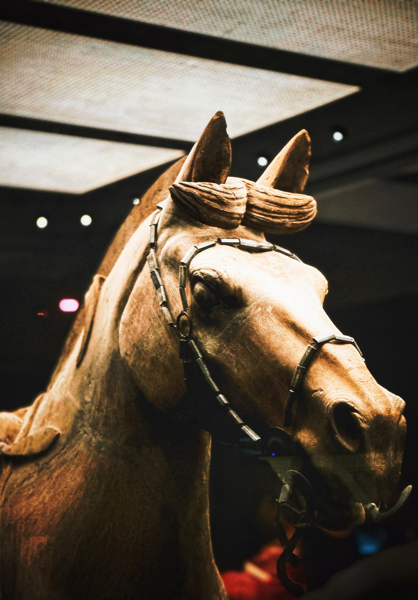 Xi'an Qin Shi Huang Mausoleum Museum (Terracotta Warriors)+Huaqing Palace 1-Day Group Tour