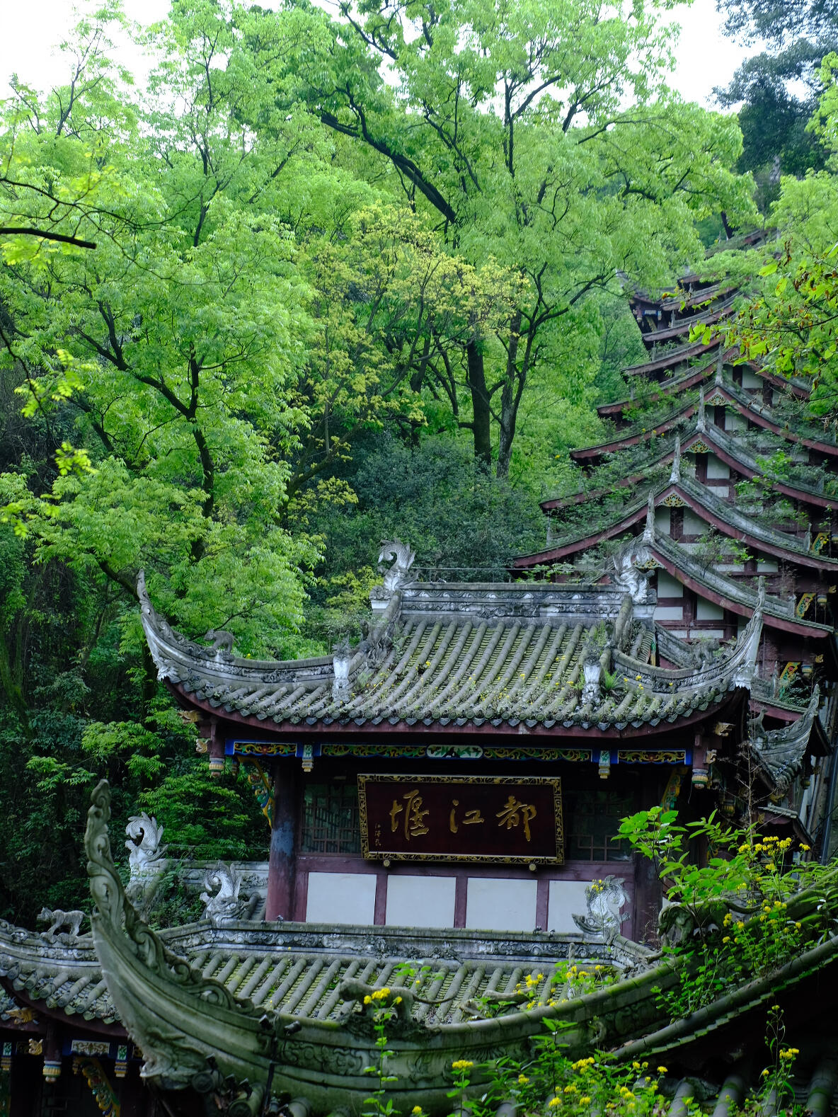 Chengdu+Qingcheng Mountain+Dujiangyan + Sanxingdui Museum 3 Days 2 Nights Private Tour