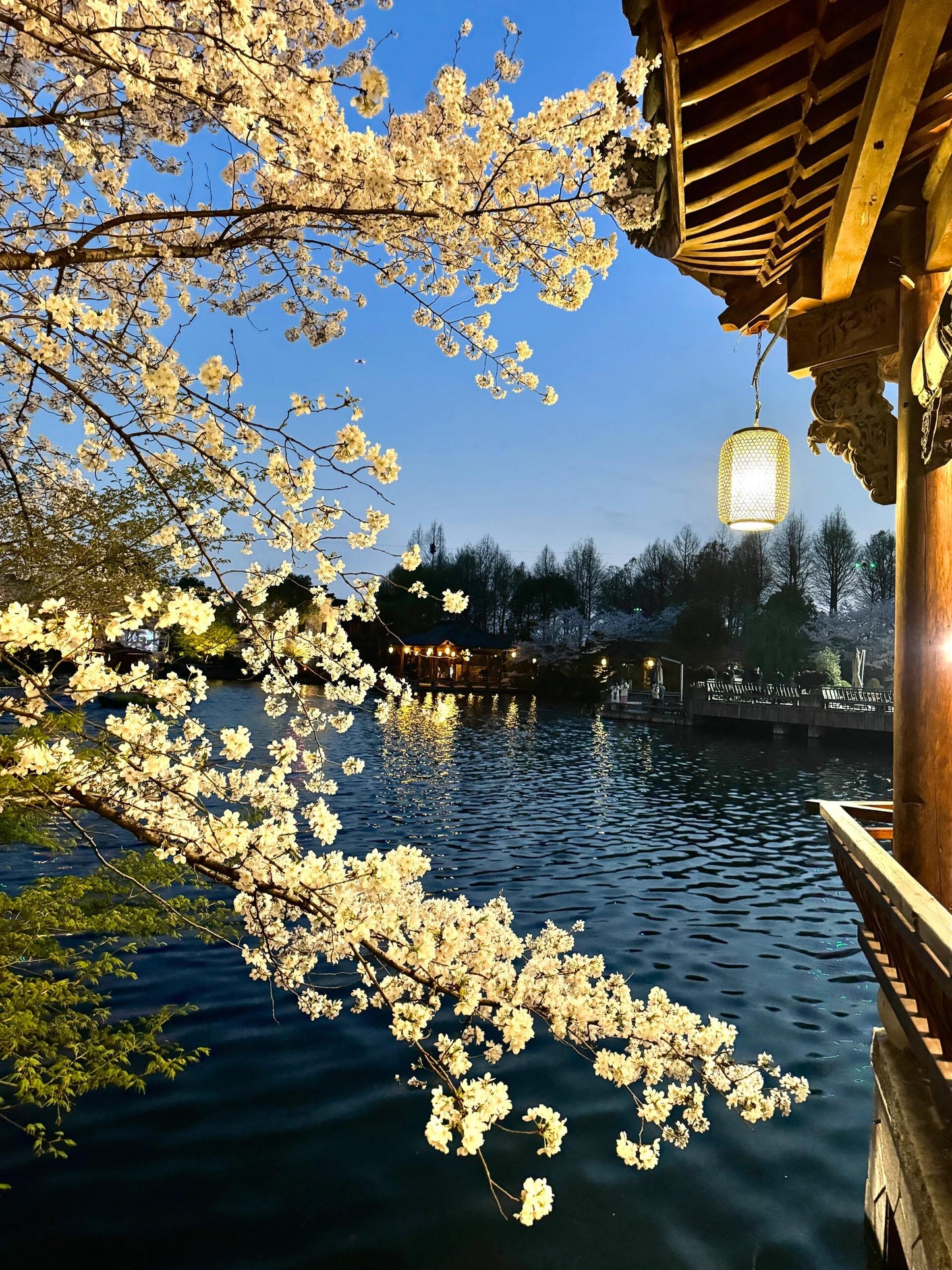 ✨Nanjing+Wuxi+Suzhou+Hangzhou+Shanghai+Wuzhen 6-Day 5-Night Group Tour