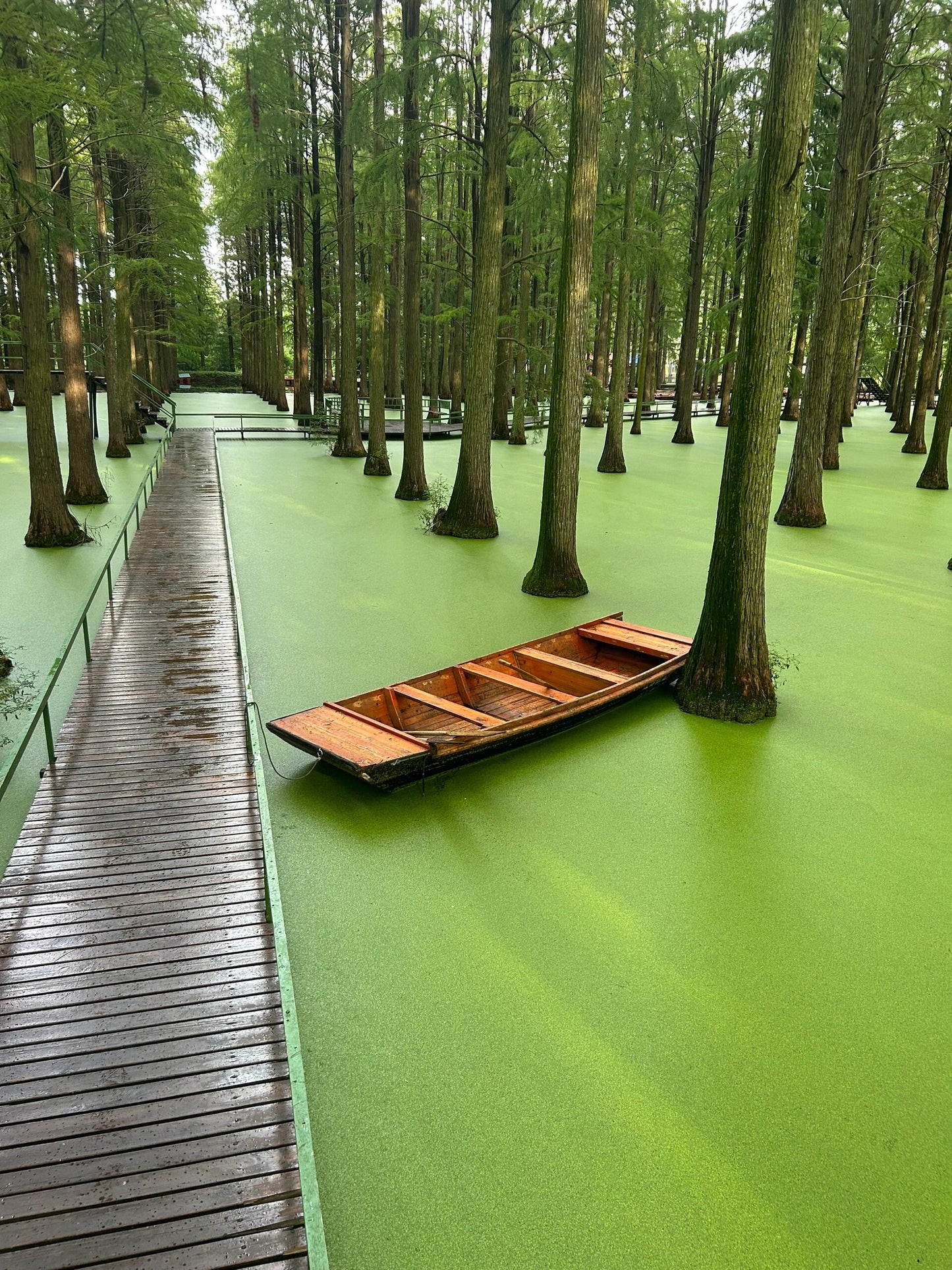 Nanjing+Yangzhou+Wuxi+Suzhou+Hangzhou+Wuzhen+Shanghai – 5 Days 4 Nights Group Tour 🧳