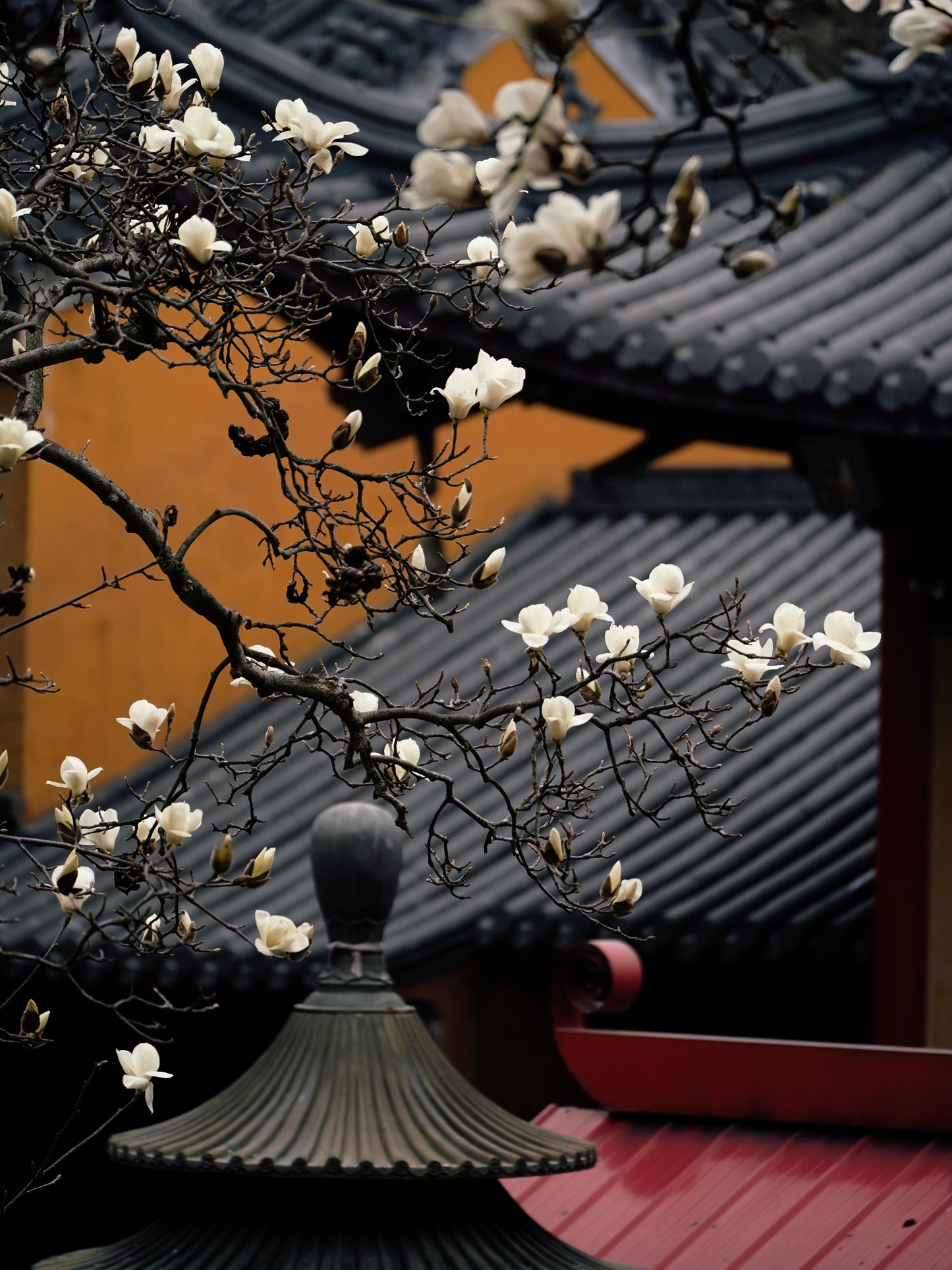 Nanjing+Yangzhou+Wuxi+Suzhou+Hangzhou+Wuzhen+Shanghai – 5 Days 4 Nights Group Tour 🧳