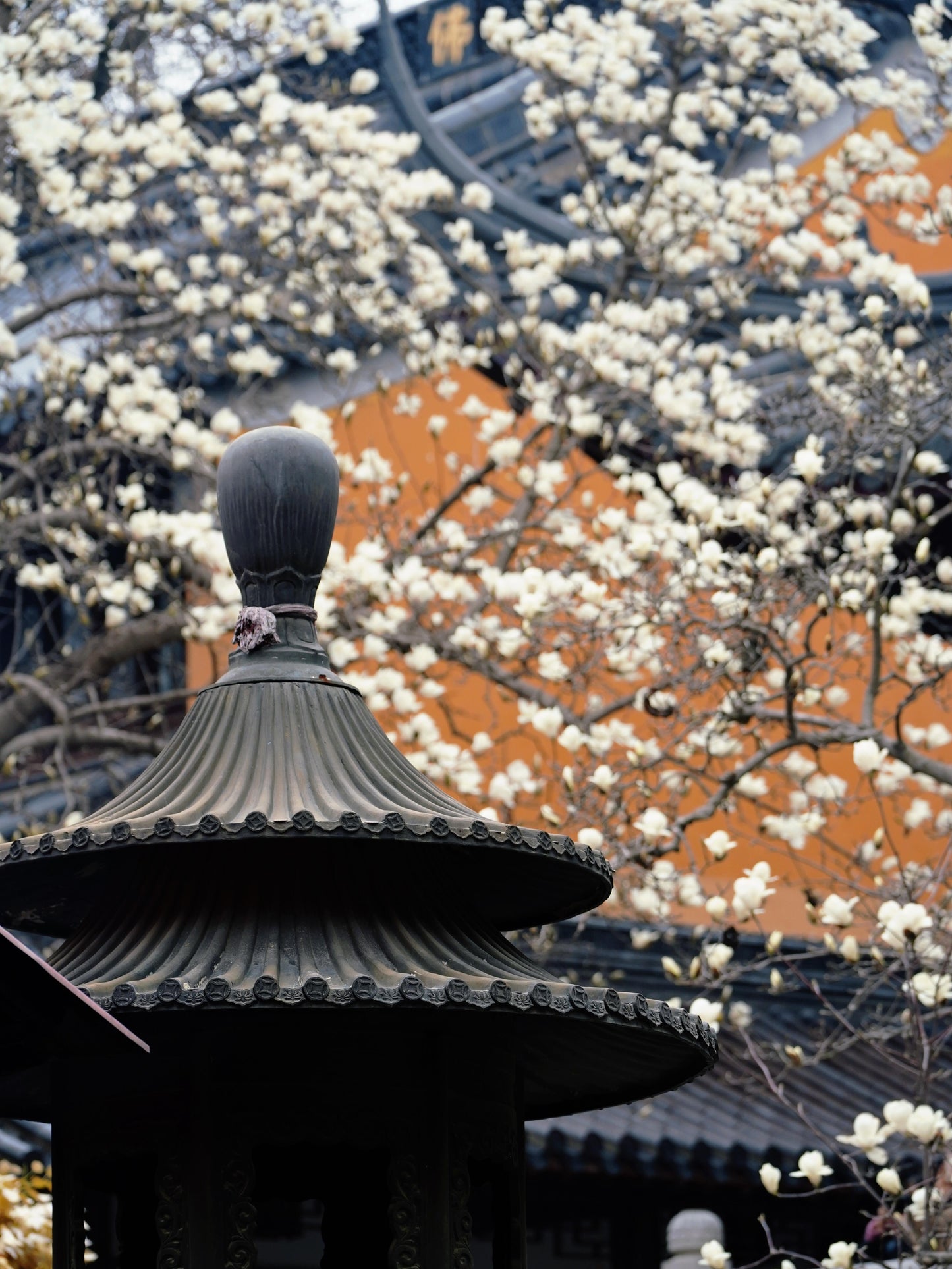 Nanjing+Yangzhou+Wuxi+Suzhou+Hangzhou+Wuzhen+Shanghai – 5 Days 4 Nights Group Tour 🧳
