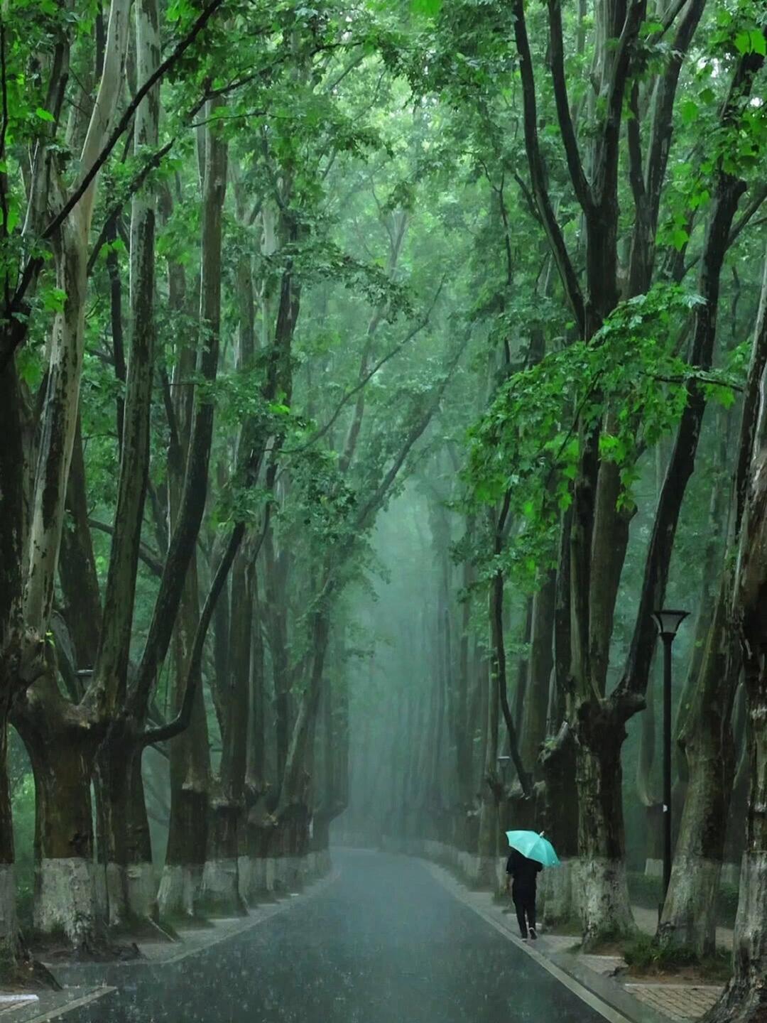 Nanjing+Yangzhou+Wuxi+Suzhou+Hangzhou+Wuzhen+Shanghai – 5 Days 4 Nights Group Tour 🧳
