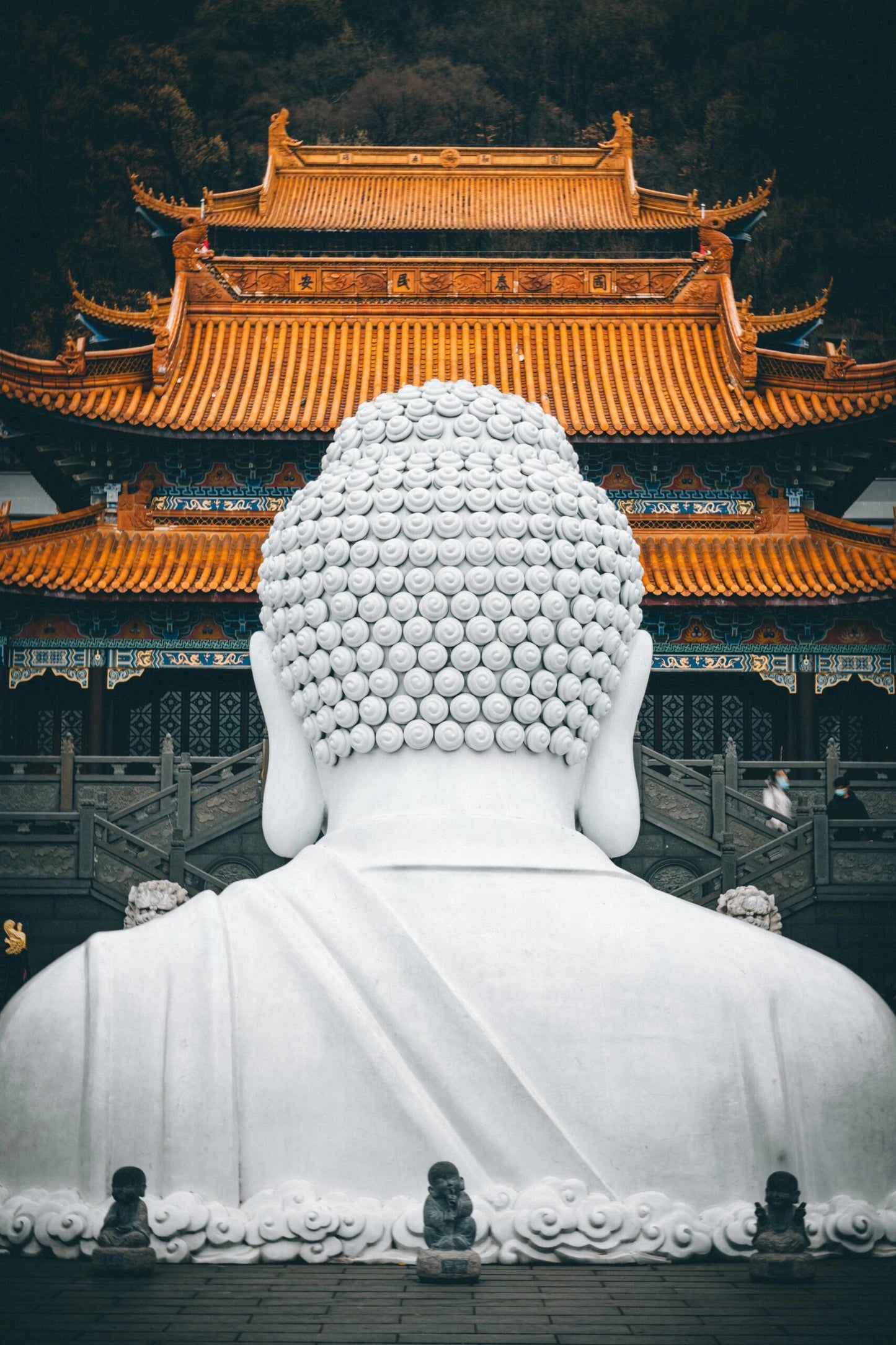 Nanjing+Yangzhou+Wuxi+Suzhou+Hangzhou+Wuzhen+Shanghai – 5 Days 4 Nights Group Tour 🧳