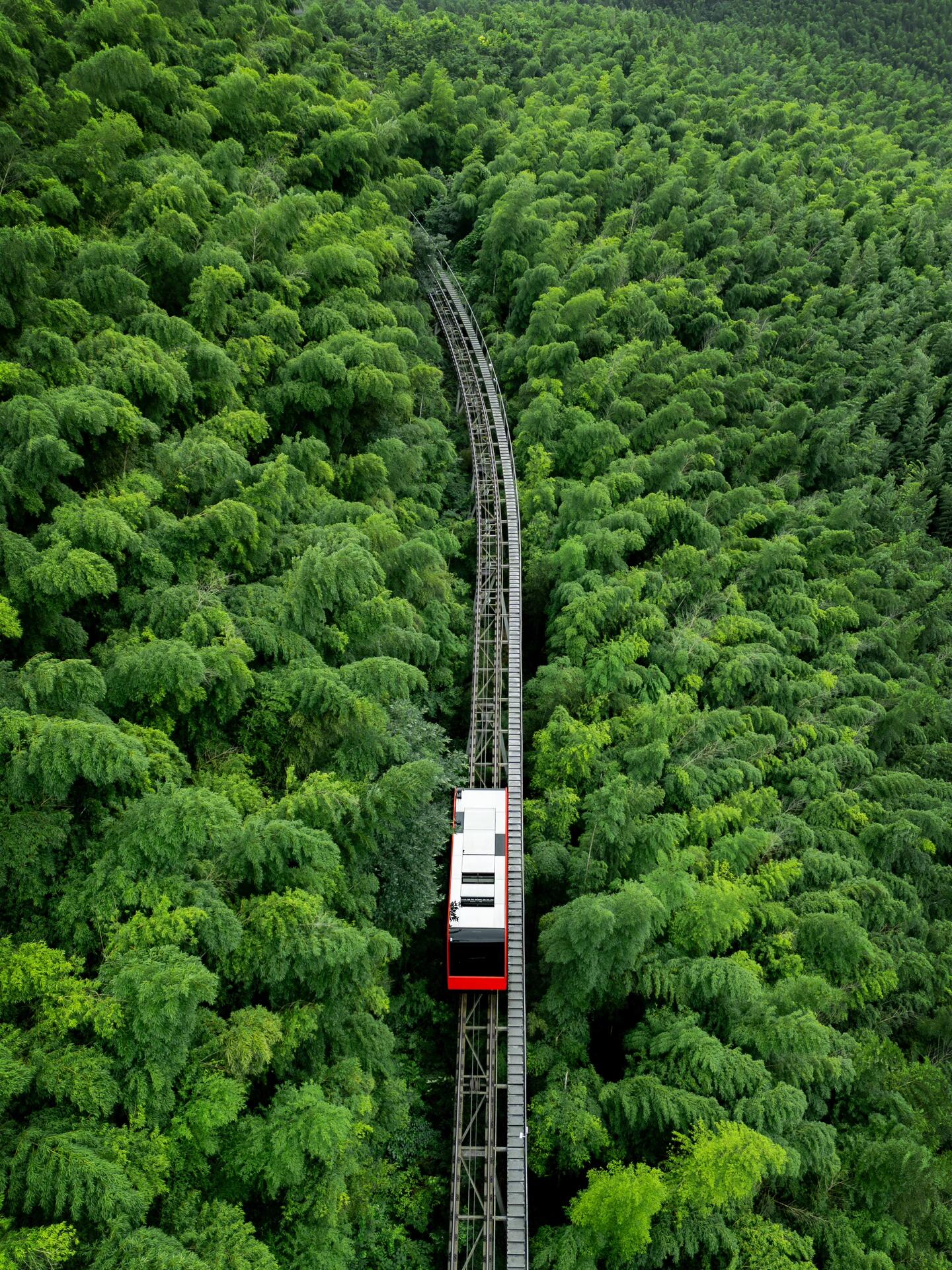 Nanjing+Yangzhou+Wuxi+Suzhou+Hangzhou+Wuzhen+Shanghai – 5 Days 4 Nights Group Tour 🧳