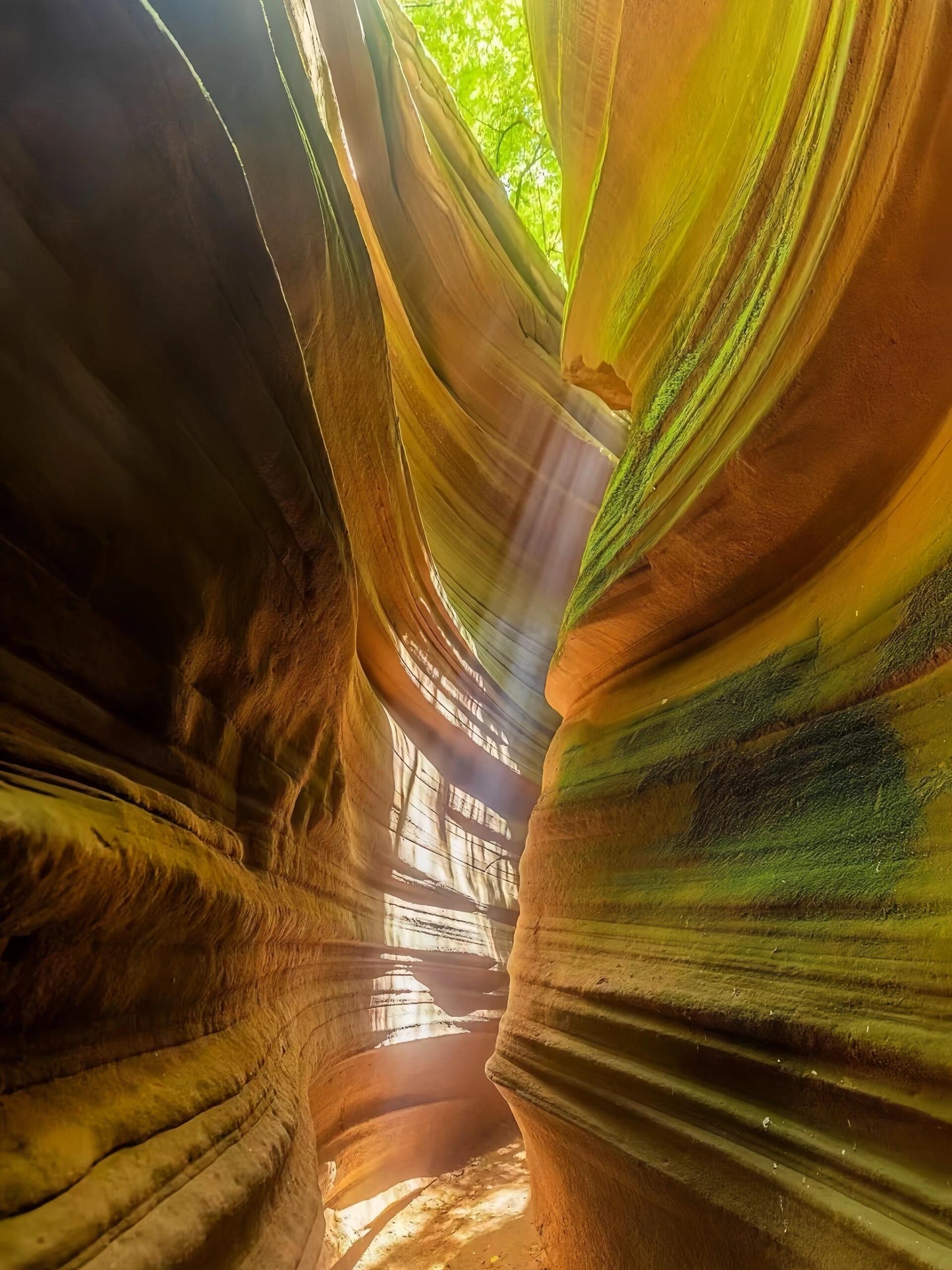 2 Days 1 Night Group Tour to Yan’an, Shaanxi, Hukou Waterfall, and Yellow Emperor Mausoleum
