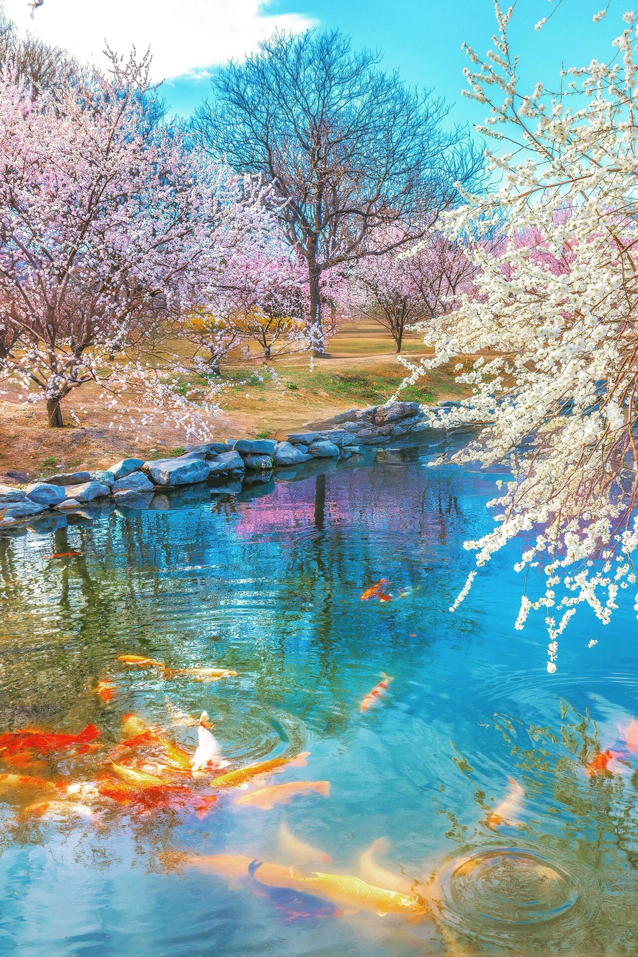 Beijing 5 Days 4 Nights Group Tour