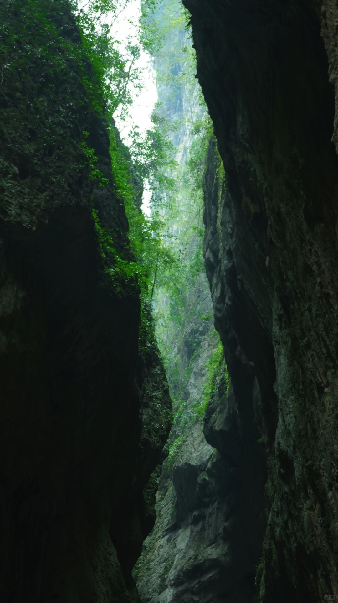 Chongqing+Wulong District 5-Day 4-Night Group Tour