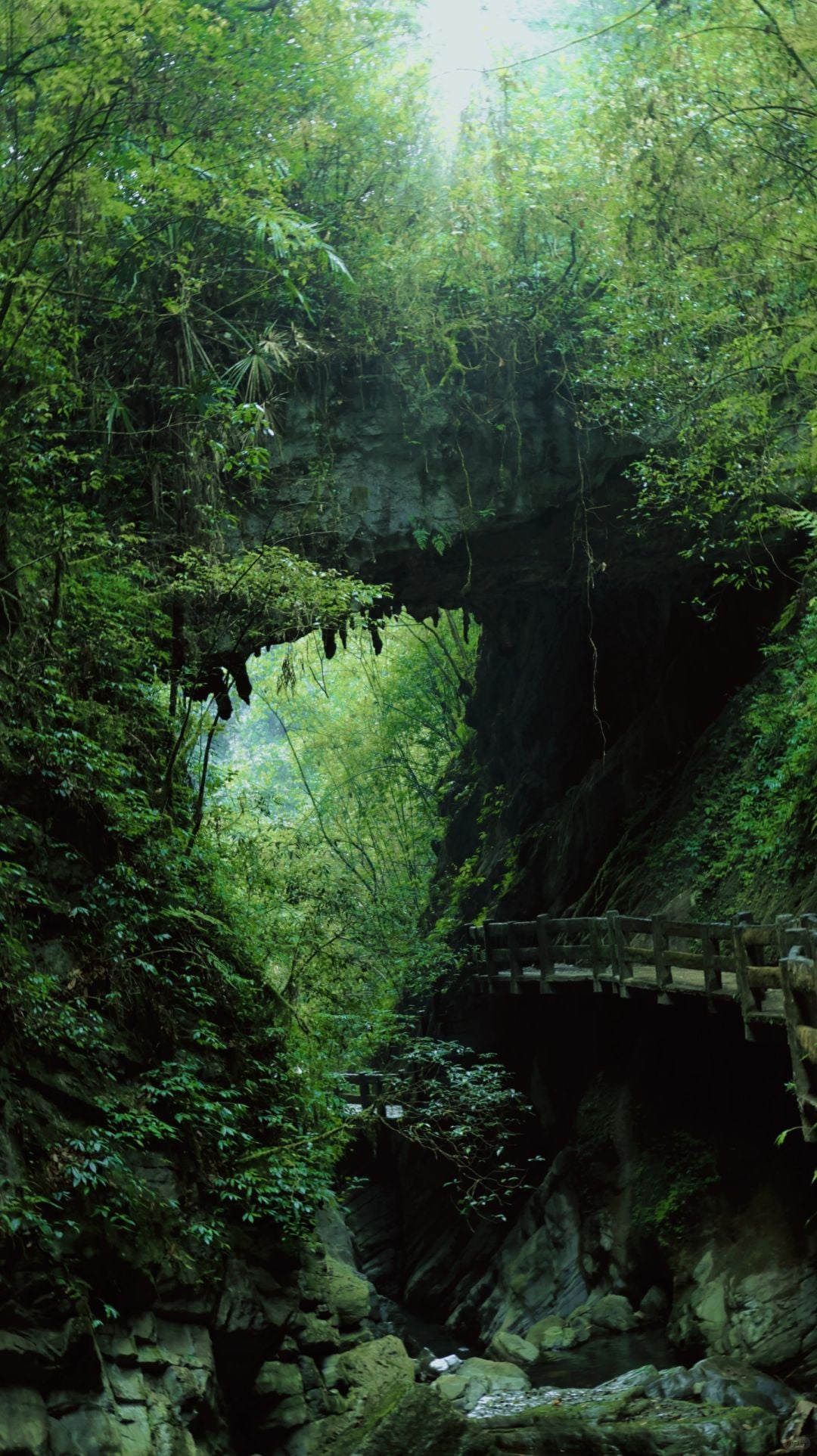 Chongqing+Wulong District 5-Day 4-Night Group Tour