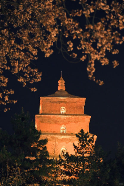 Xi'an Qin Shi Huang Mausoleum Museum (Terracotta Warriors)+Huaqing Palace 1-Day Group Tour