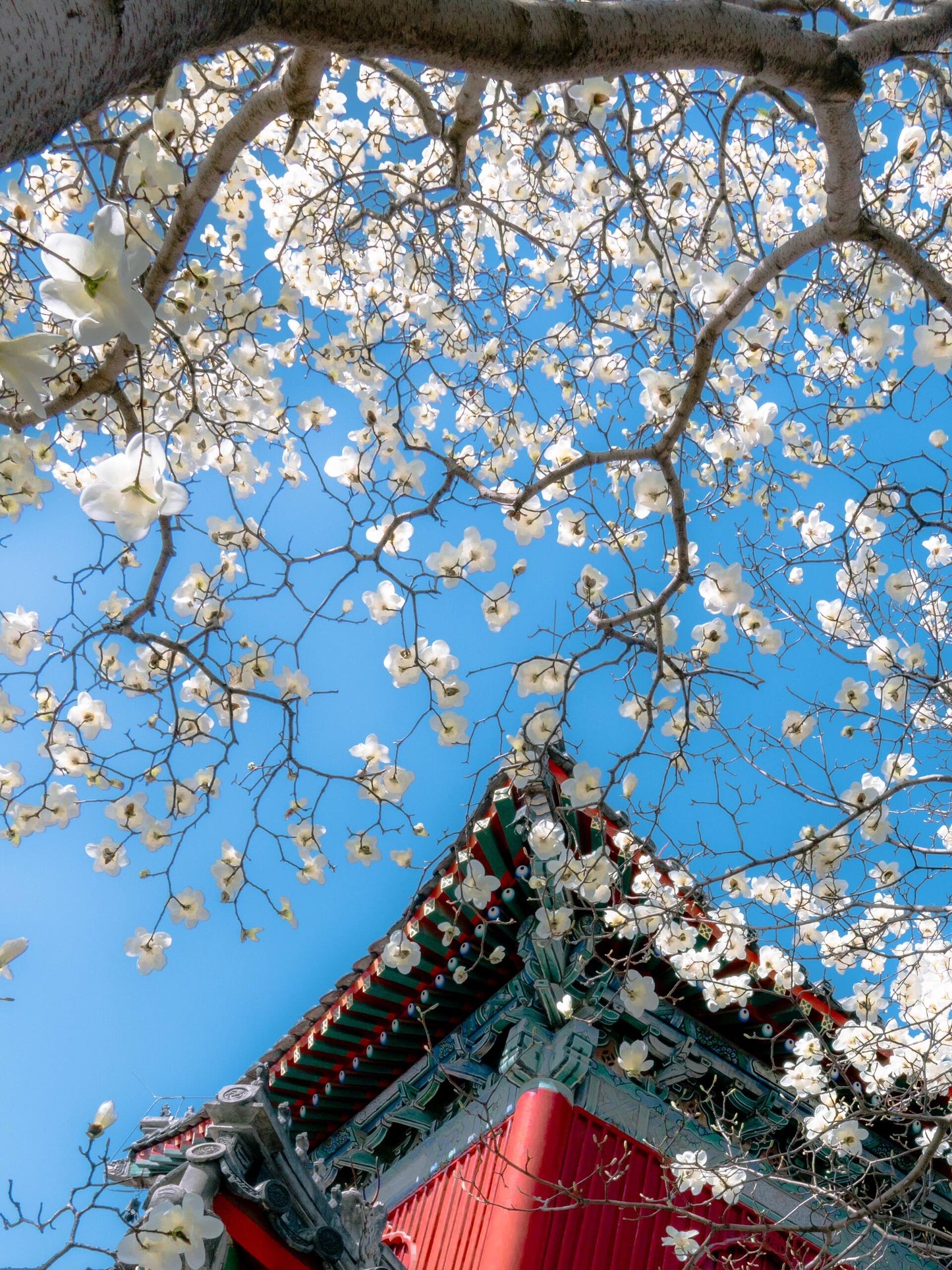 Beijing 5 Days 4 Nights Group Tour