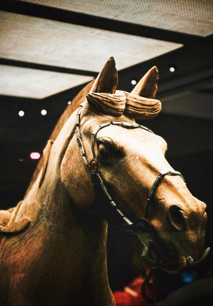Xi'an Qin Shi Huang Mausoleum Museum (Terracotta Warriors)+Huaqing Palace 1-Day Group Tour