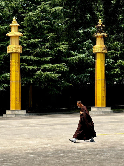 Famen Temple+Qianling Mausoleum+Yide Prince Tomb &amp; Maoling 1-Day Tour