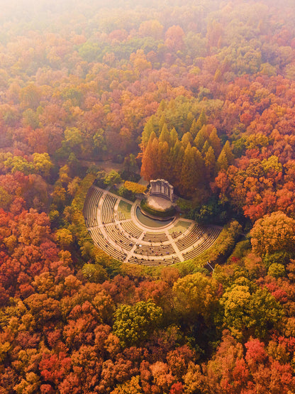 ✨Nanjing+Wuxi+Suzhou+Hangzhou+Shanghai+Wuzhen 6-Day 5-Night Group Tour