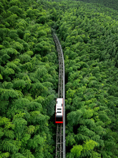 Nanjing+Yangzhou+Wuxi+Suzhou+Hangzhou+Wuzhen+Shanghai – 5 Days 4 Nights Group Tour 🧳