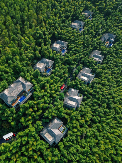 ✨Nanjing+Wuxi+Suzhou+Hangzhou+Shanghai+Wuzhen 6-Day 5-Night Group Tour