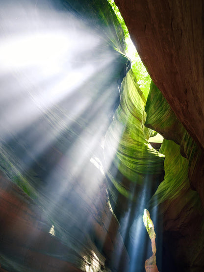 2 Days 1 Night Group Tour to Yan’an, Shaanxi, Hukou Waterfall, and Yellow Emperor Mausoleum