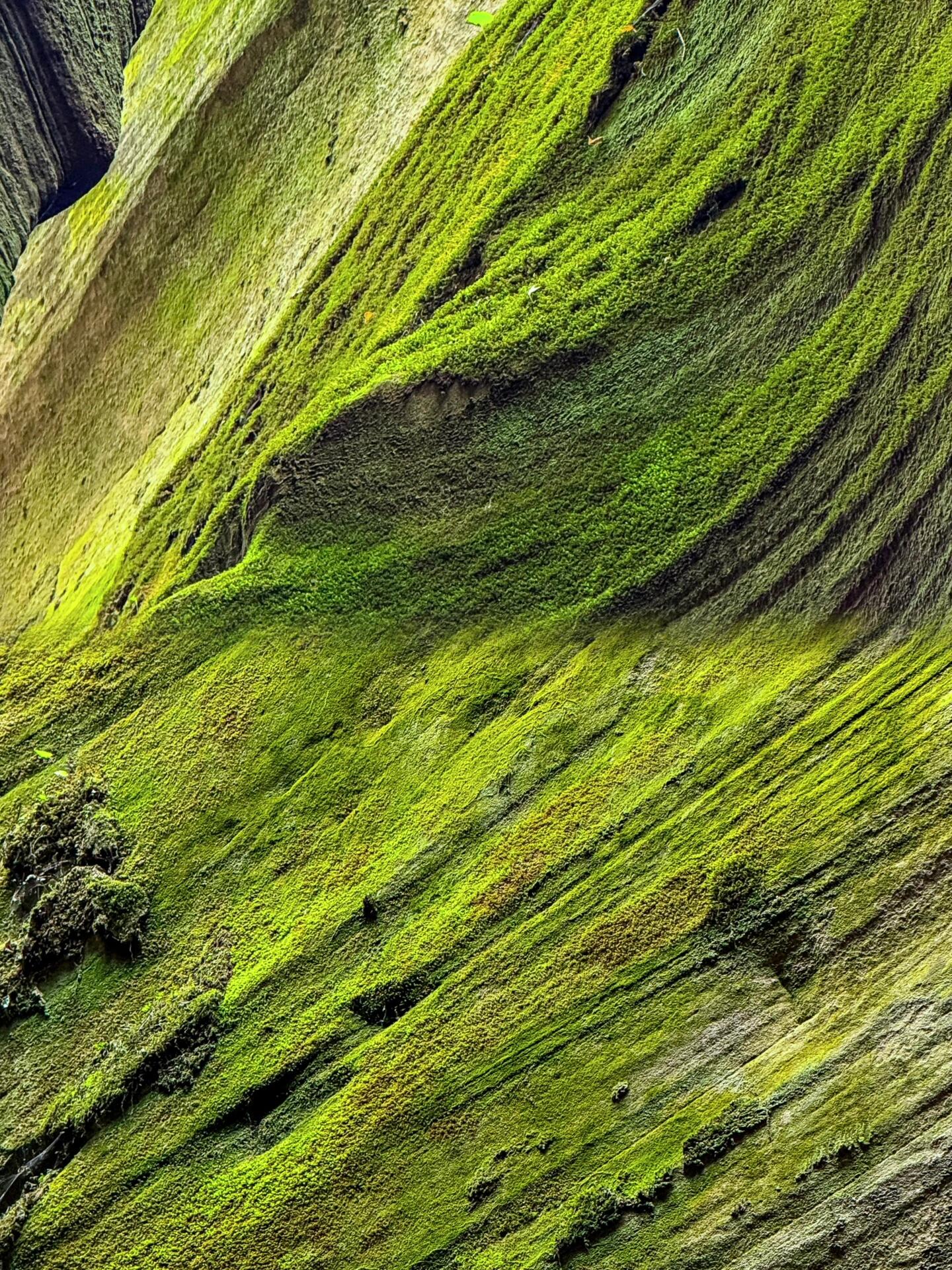 2 Days 1 Night Group Tour to Yan’an, Shaanxi, Hukou Waterfall, and Yellow Emperor Mausoleum