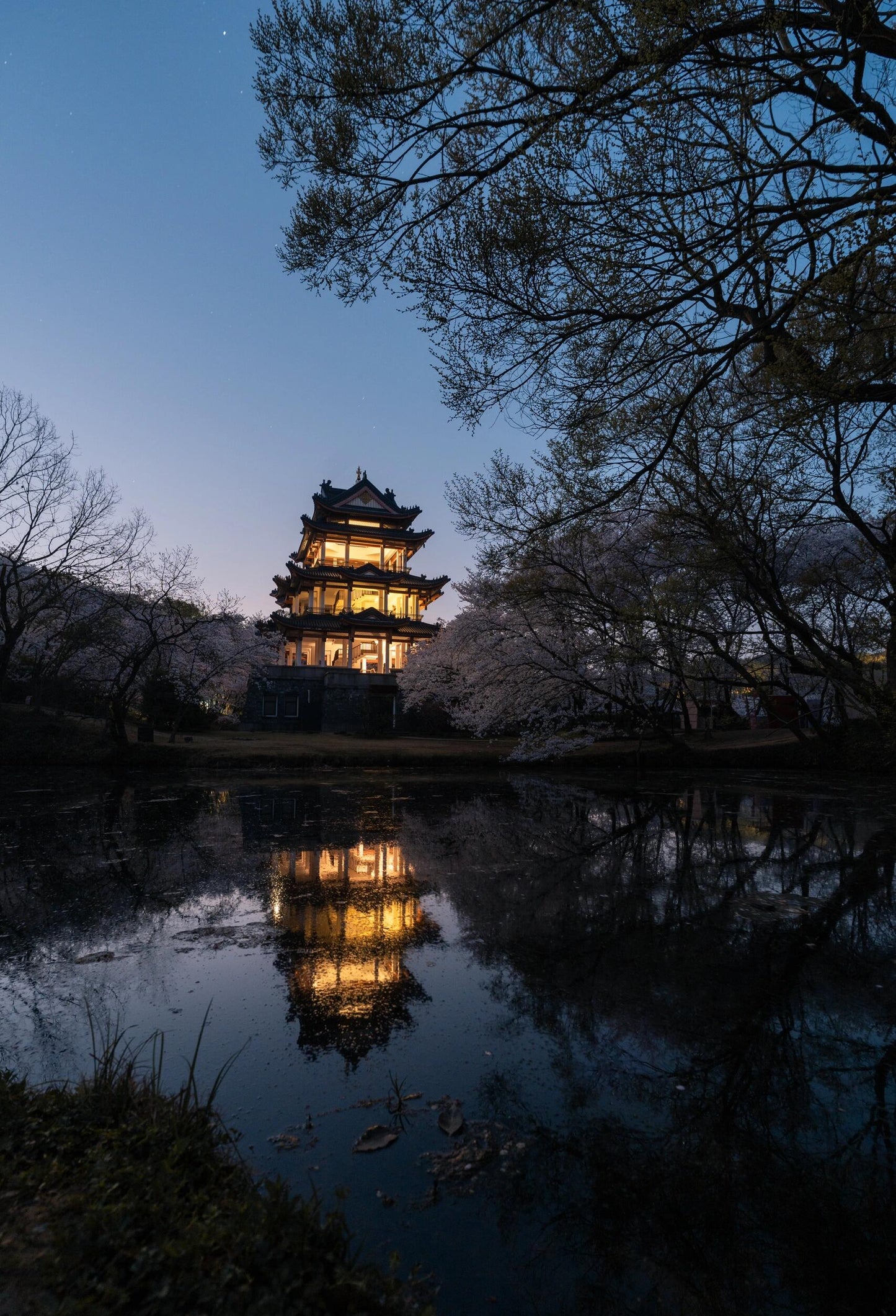 ✨Nanjing+Wuxi+Suzhou+Hangzhou+Shanghai+Wuzhen 6-Day 5-Night Group Tour